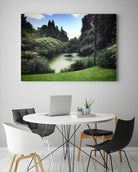 Swamp by Pexels on GIANT ART - green landscape