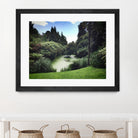 Swamp by Pexels on GIANT ART - green landscape