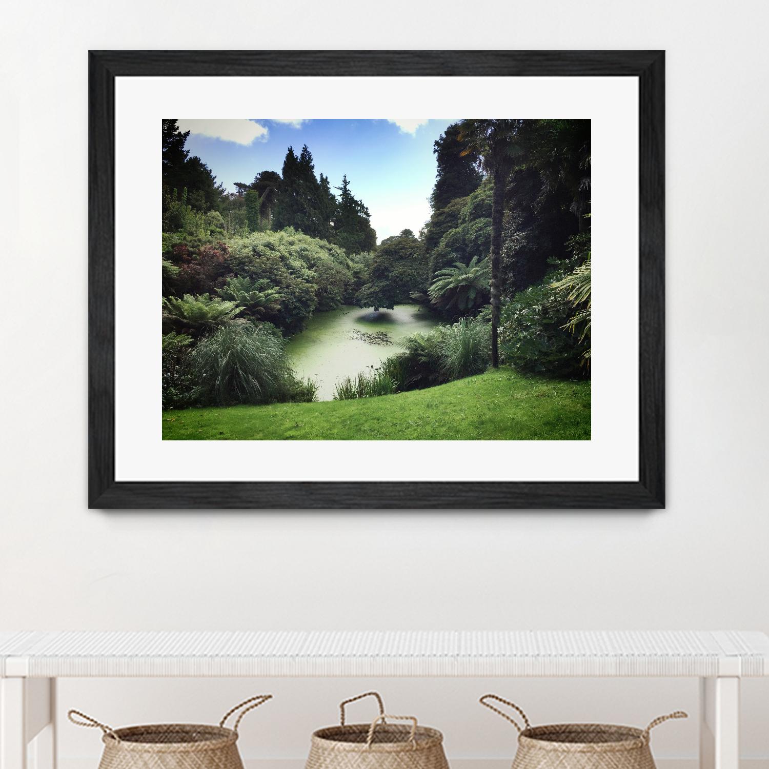 Swamp by Pexels on GIANT ART - green landscape