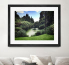 Swamp by Pexels on GIANT ART - green landscape