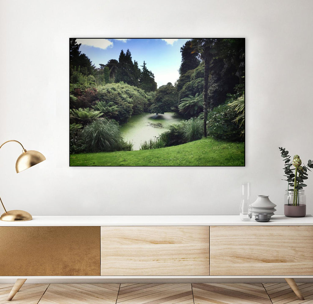 Swamp by Pexels on GIANT ART - black landscape