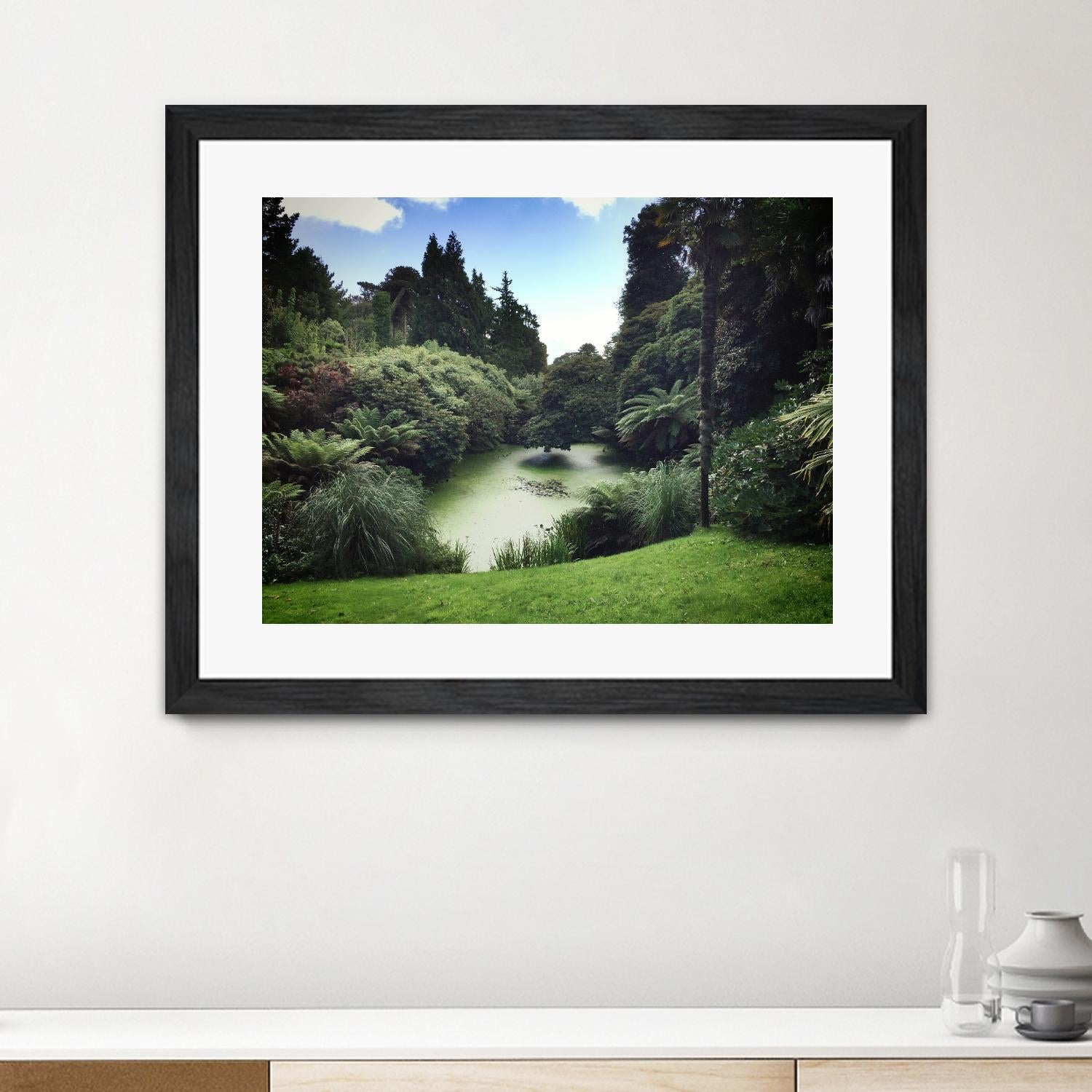 Swamp by Pexels on GIANT ART - green landscape