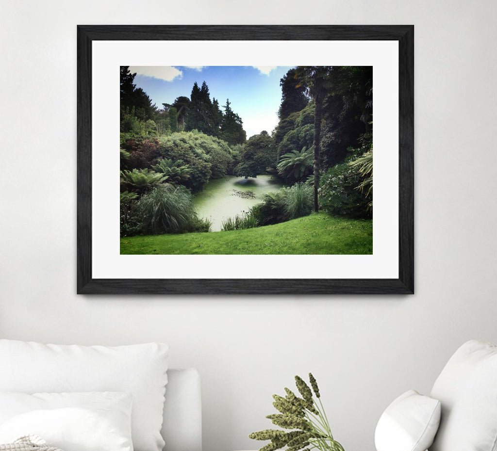 Swamp by Pexels on GIANT ART - green landscape